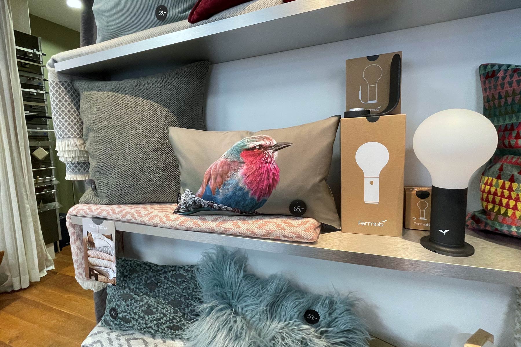 Felix-Odermatt-Herbst-2023-00002