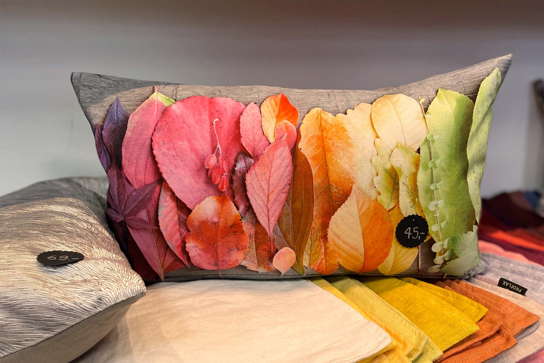 Felix-Odermatt-Herbst-2023-00006