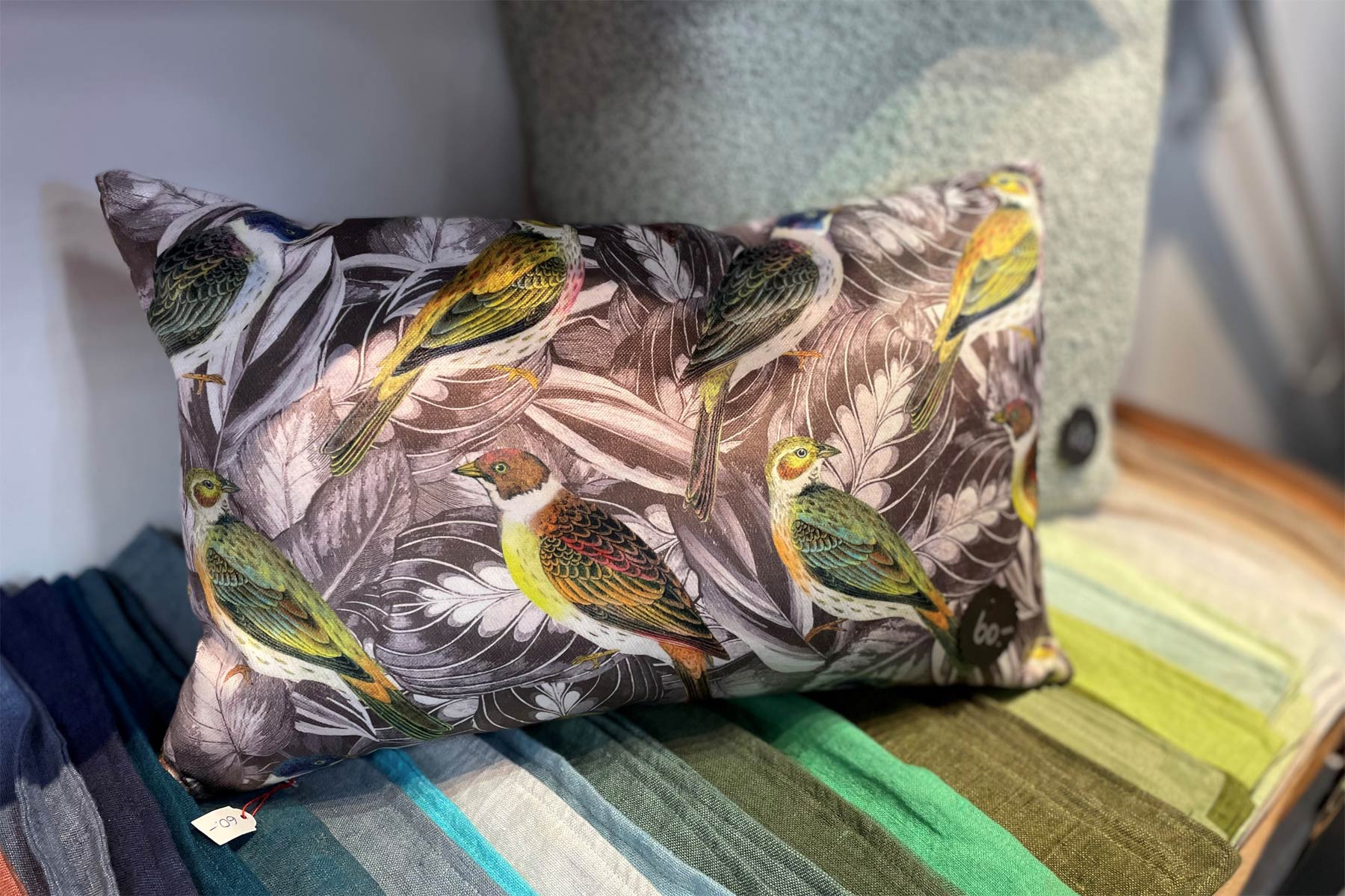 Felix-Odermatt-Herbst-2023-00007