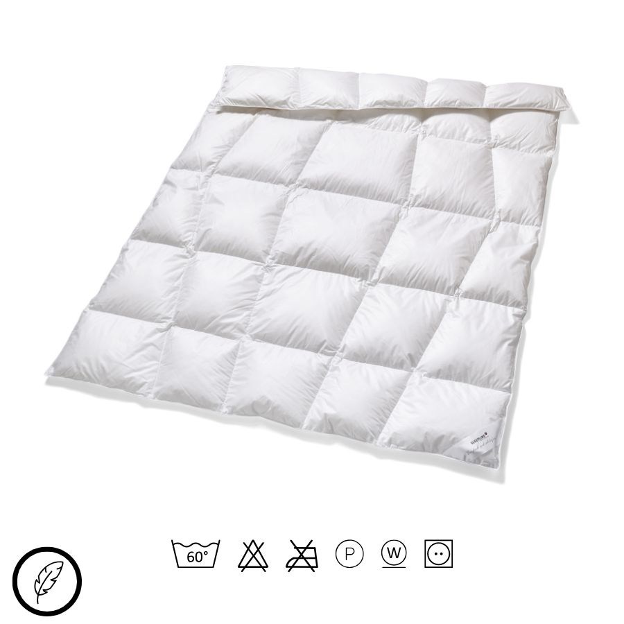 Keine Abbildung zugeordnet 